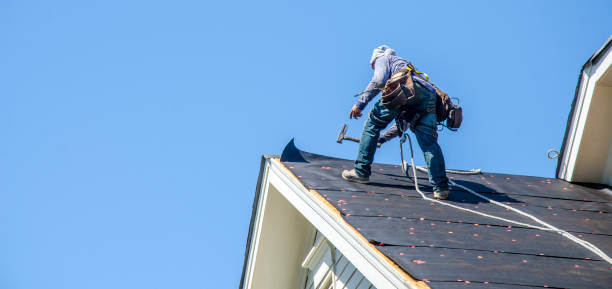 Best Roof Restoration Services  in Wagner, SD